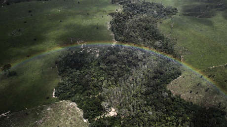 El aumento del dióxido de carbono en la Amazonía podría afectar las precipitaciones más que la deforestación