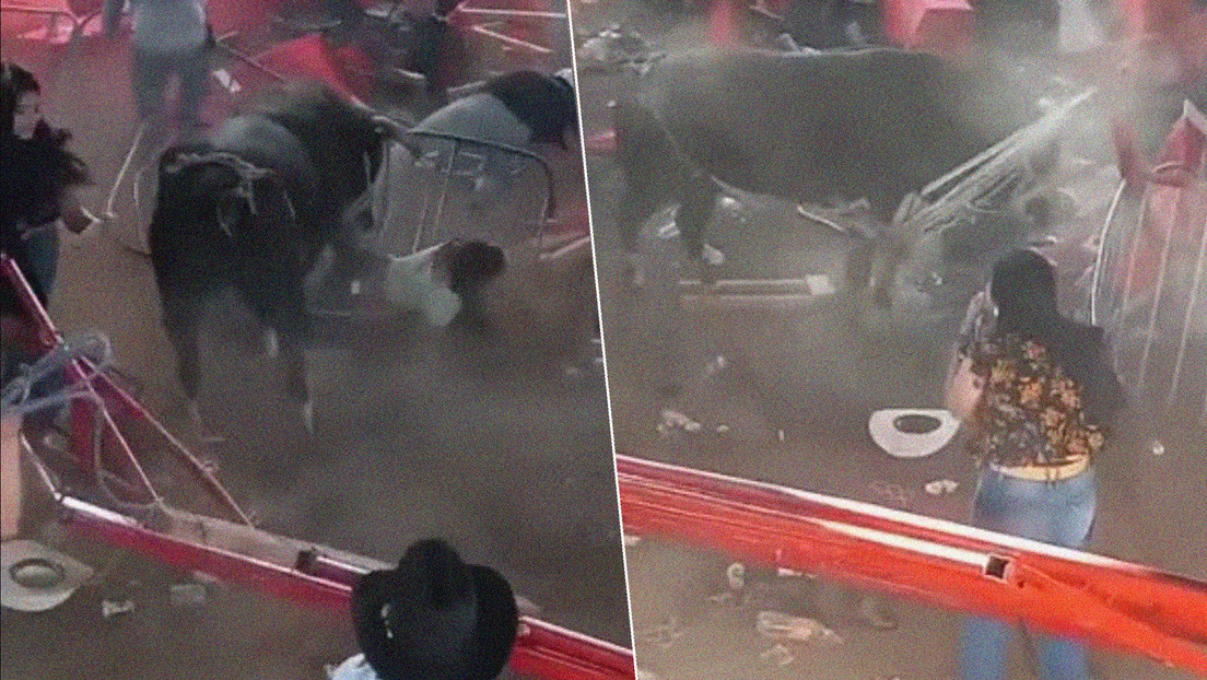 Un rodeo clandestino se sale del control en México: un toro embiste a la multitud y la fiesta termina con una balacera (VIDEOS)