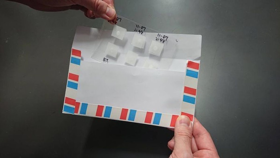 'Libro de esperma': Científicos japoneses intercambian por correo semen de ratón mediante un simple método de conservación en papel