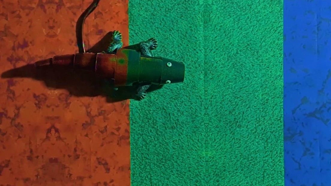 VIDEO: Crean un robot-camaleón que cambia de color en tiempo real y puede revolucionar el camuflaje militar