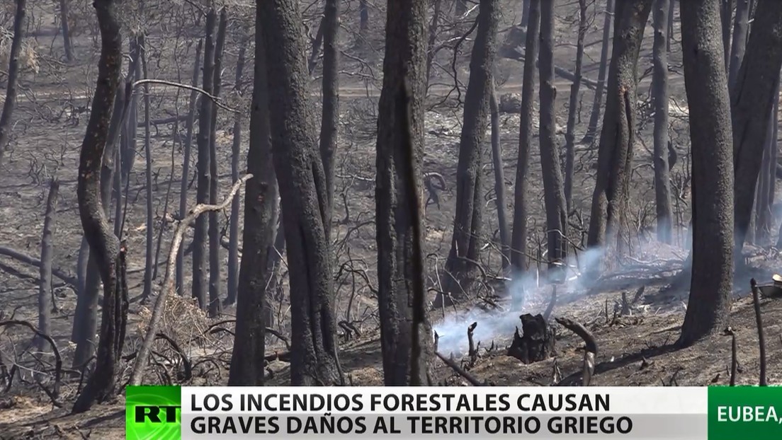 Los incendios forestales que azotan el territorio griego causan graves daños en la isla de Ubea