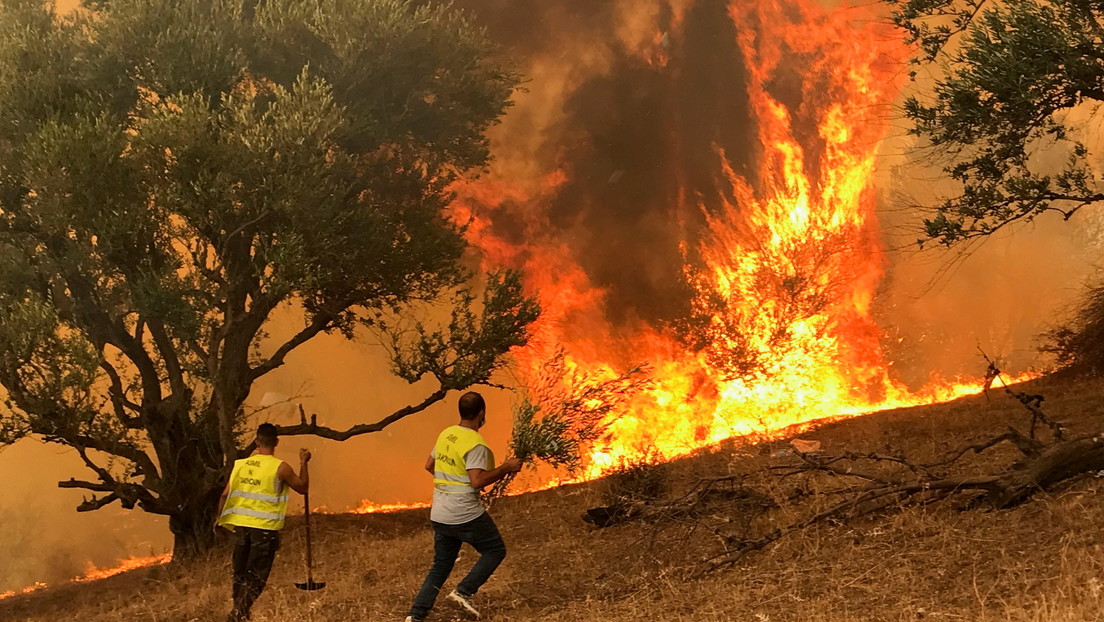 Arrestan a 22 personas en relación con los masivos incendios en Argelia