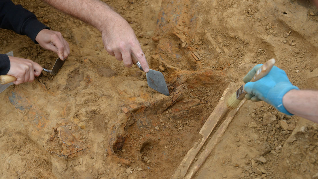 Arqueólogos irlandeses encuentran en un pantano una escultura pagana de madera de 1.600 años de antigüedad (FOTOS)