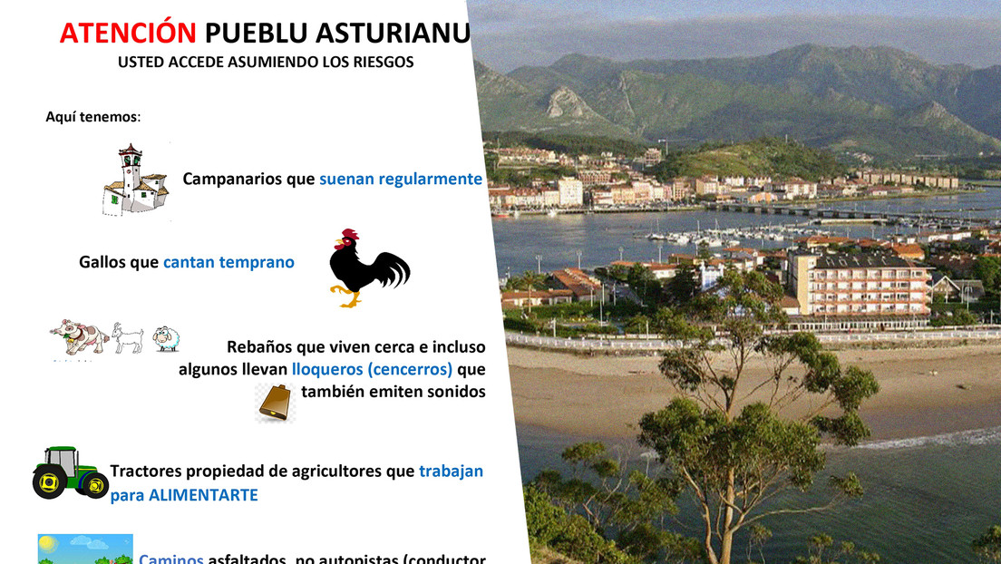 "¡Atención! Aquí hay gallos que cantan temprano": Municipio español responde a los turistas que se quejan del 'ruido' rural