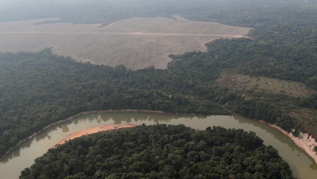 Un total de 10.476 kilómetros cuadrados destruidos: la deforestación en la Amazonía brasileña alcanza el nivel anual más alto en una década
