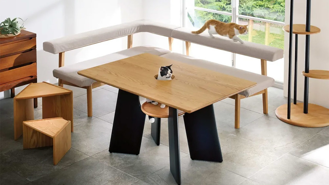FOTOS: Diseñan en Japón una mesa de comedor con un orificio en el centro para los gatos de la casa