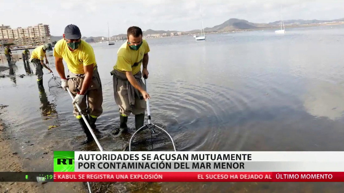 La muerte masiva de peces en el Mar Menor, fruto de una agricultura "irresponsable"