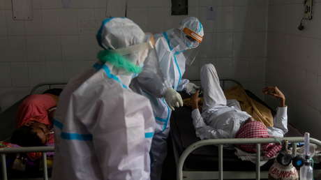 Identifican la posible causa del reciente brote de una fiebre viral mortal en la India