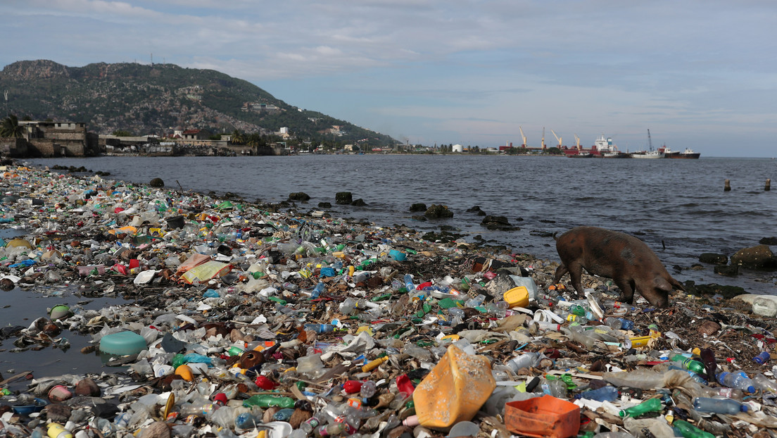 La WWF estima que el uso de productos plásticos cuesta al mundo cerca de 3,7 billones de dólares