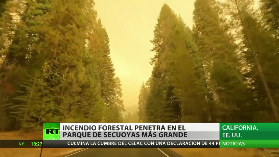 EE.UU.: Incendio forestal amenaza al parque de secuoyas más grande del mundo