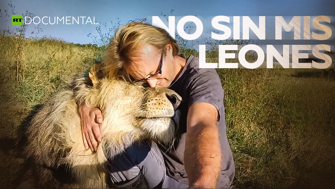 No sin mis leones- Videos de RT