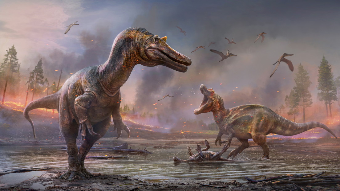 Una 'garza infernal con cara de cocodrilo' y un 'cazador': descubren dos nuevas especies de dinosaurios en Reino Unido