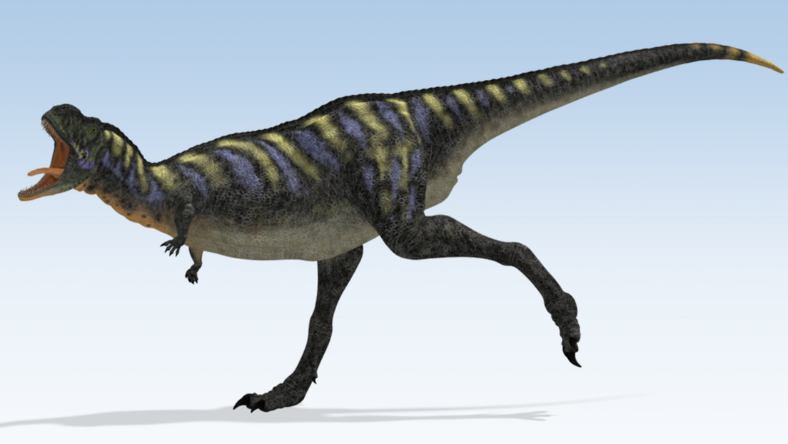 Paleontólogos identifican una nueva especie de dinosaurio carnívoro en Brasil