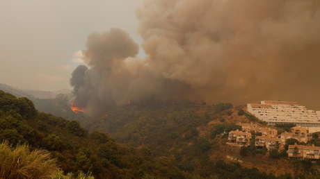 Casi 800 desalojados por un incendio al sur de España que amenaza a un tesoro botánico