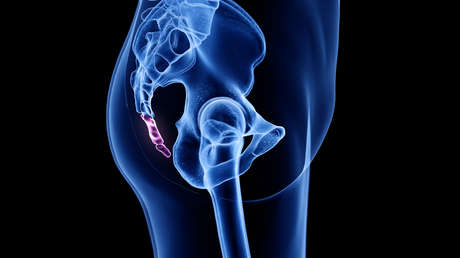 Imagen ilustrativa