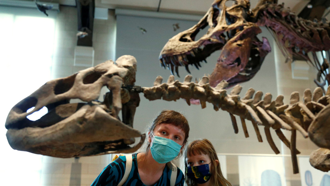 "Conservado hasta el nivel celular": Paleontólogos creen haber hallado ADN en los restos fosilizados de un dinosaurio en China