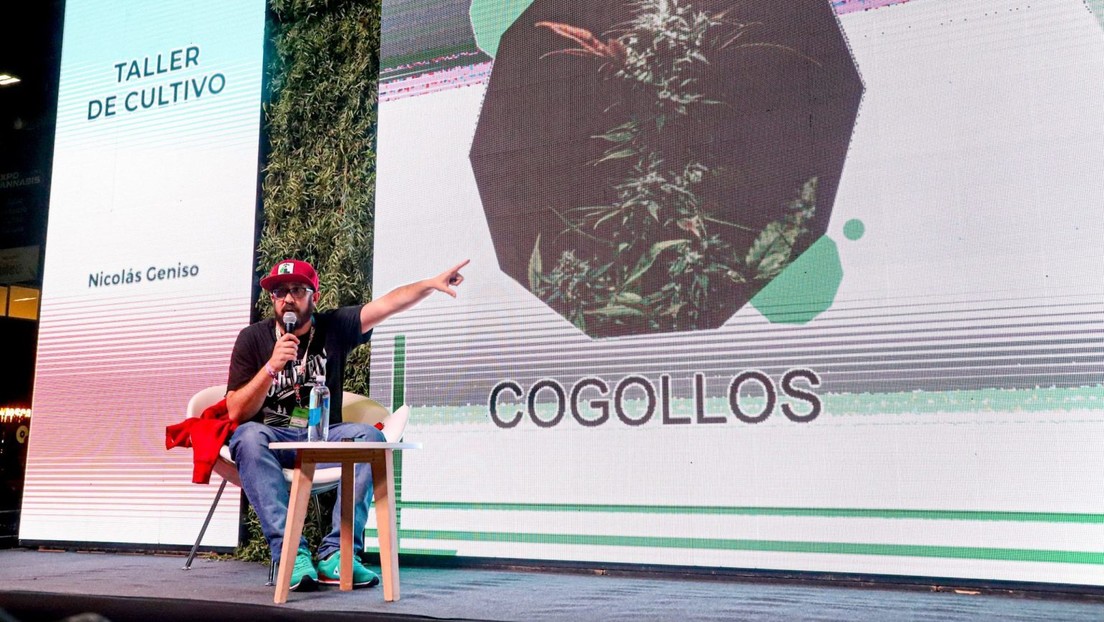 Argentina acoge la exposición más grande sobre la industria del cannabis en América Latina (que avanza contra los prejuicios)