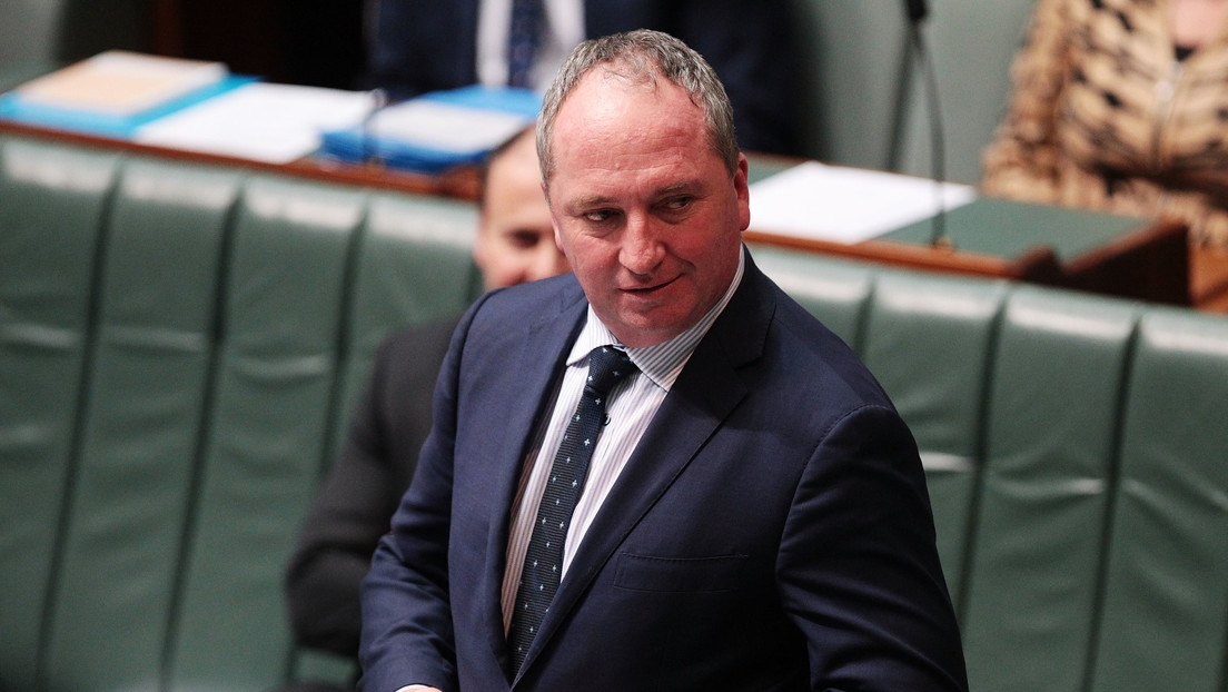Político australiano sugiere que la única forma de cumplir el Compromiso Global del Metano sería "disparar al ganado"