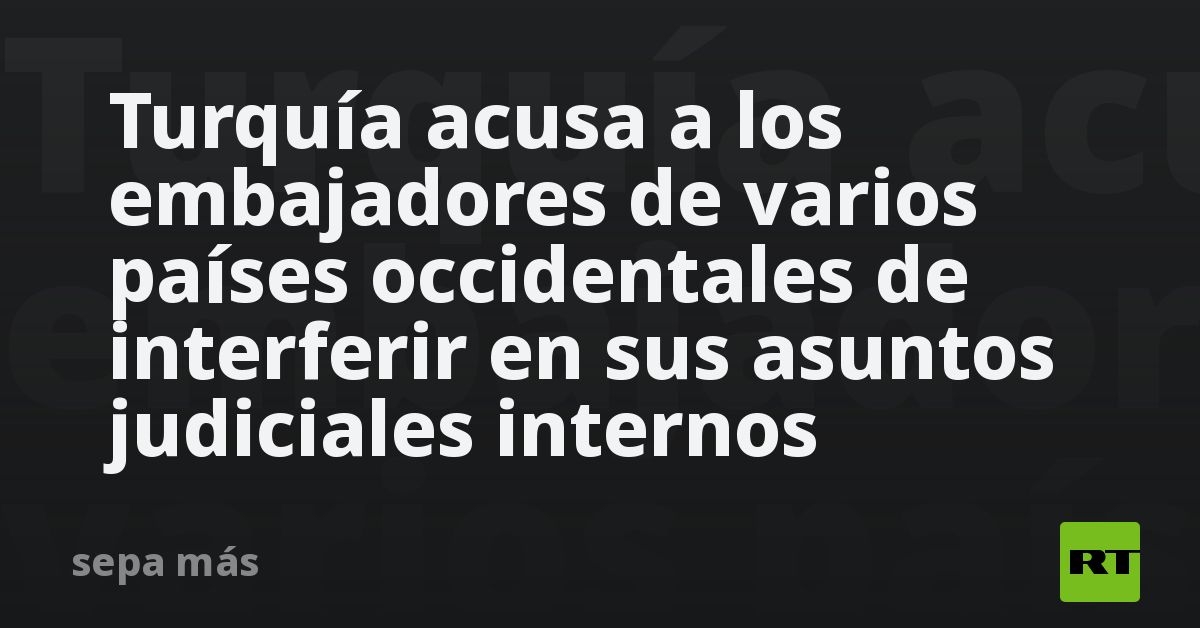 Turquía Acusa A Los Embajadores De Varios Países Occidentales De