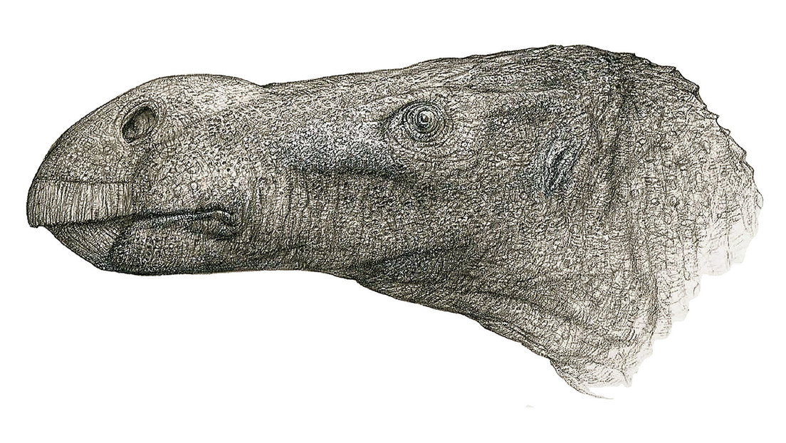 Descubren una nueva especie de dinosaurio con una nariz desproporcionada