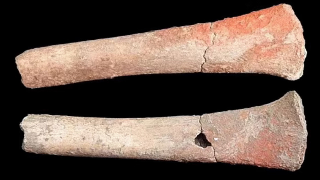 Hallan evidencia de la intoxicación por mercurio más antigua de la historia en huesos de hace 5.000 años en España y Portugal