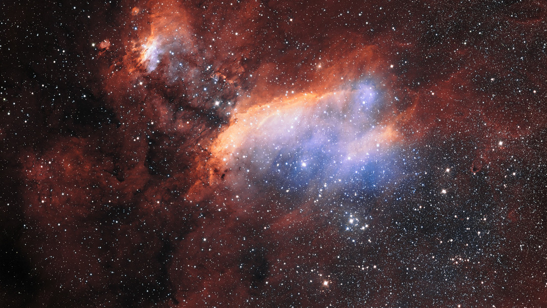 El telescopio Hubble capta una deslumbrante imagen de la Nebulosa de la Gamba con "áreas de gas resplandeciente" (FOTO)