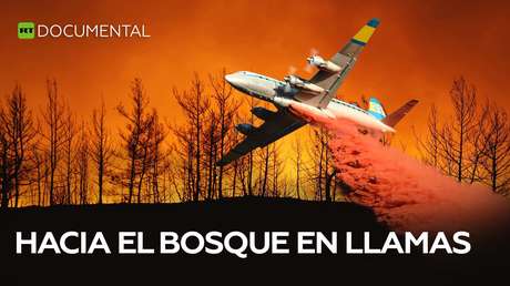 Hacia el bosque en llamas
