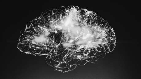 Un hombre sano sufre convulsiones y descubre que su cerebro está lleno de gusanos desde hace 20 años