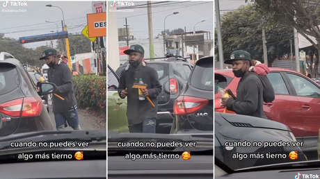 VIDEO: Joven se gana la vida limpiando parabrisas mientras carga a su inseparable perrito en la espalda