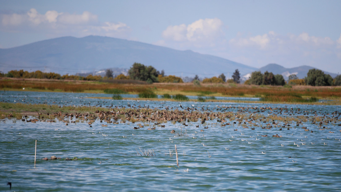 López Obrador anuncia una consulta para declarar el lago de Texcoco área natural protegida