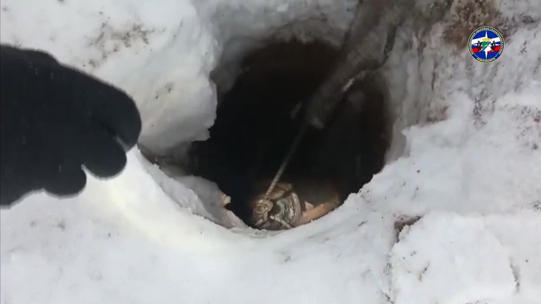 VIDEO: Un perro se agarra con los dientes a una cuerda para salir de un profundo agujero