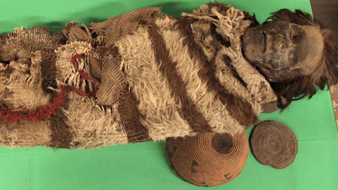 Huevos de piojos con ADN de momias sudamericanas de hace 2.000 años revelan detalles sobre cómo vivieron y murieron esas personas