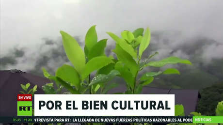 Indígenas que elaboran productos de la hoja de coca denuncian una presión de Coca-Cola