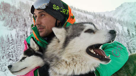 Entregas a domicilio a la siberiana: perros husky llevan pedidos en trineos a lugares de difícil acceso