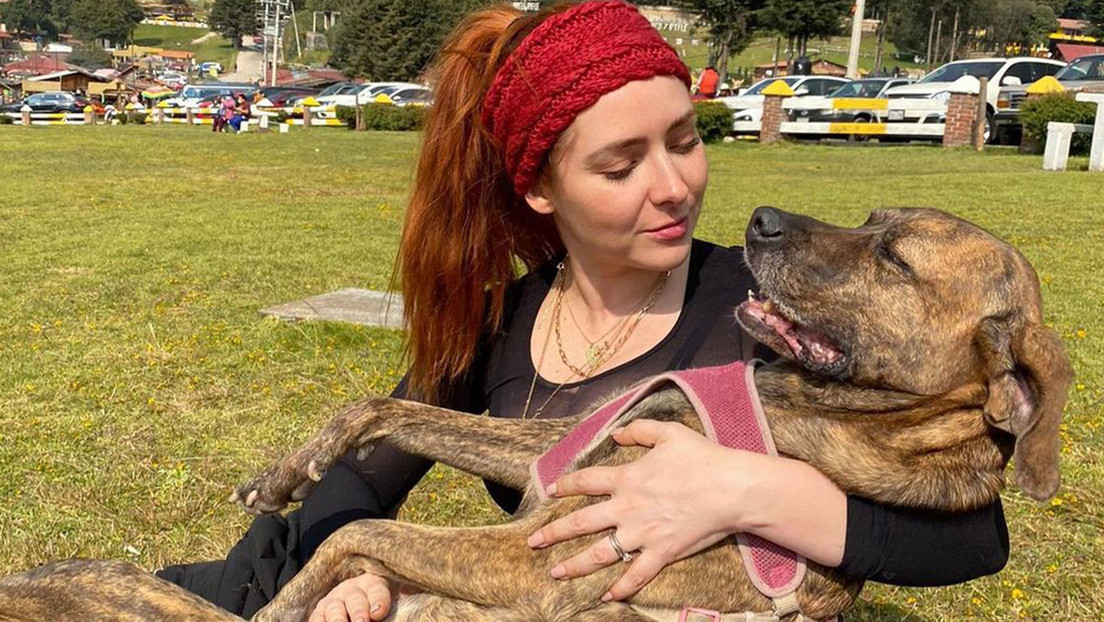 Un cocodrilo devoró al perro de la actriz mexicana Ariadne Díaz