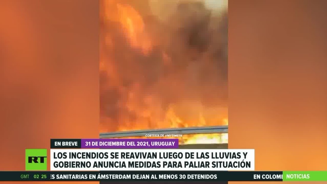 Los incendios forestales se reavivan en Uruguay luego de las lluvias y el Gobierno anuncia medidas para paliar la situación