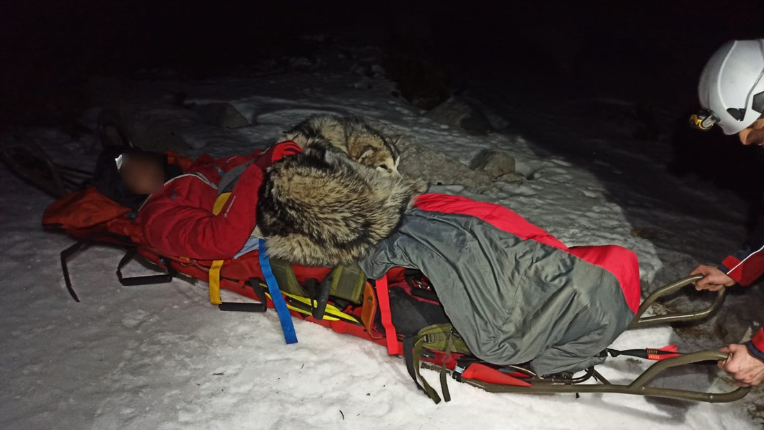 Un perro salva a un montañista herido al mantenerlo caliente con su cuerpo durante 13 horas