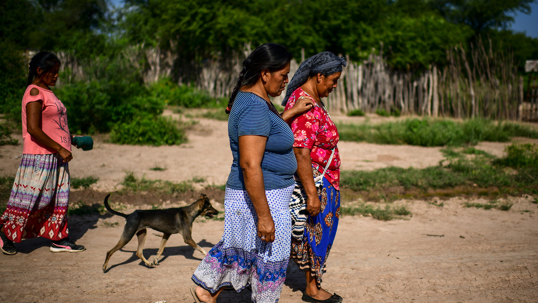 Dos bebés muertos por deshidratación y una niña de 12 años víctima de feminicidio: ¿qué pasa en las comunidades wichí en el norte de Argentina?