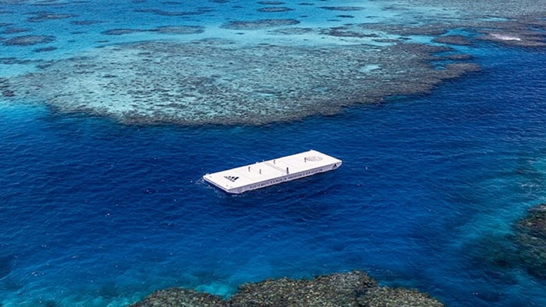 Desventaja Embutido Correa Adidas instala en la Gran Barrera de Coral australiana una cancha flotante  de tenis hecha de plástico reciclado (VIDEO) - RT