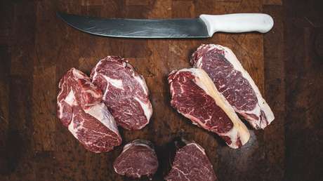 Polémica en Ecuador por programa de cocina que promovió el consumo de carne de animales silvestres en peligro de extinción