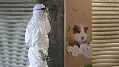 Unas 2.000 mascotas serán sacrificadas en Hong Kong tras detectarse la primera posible transmisión de coronavirus de animales a humanos en la región