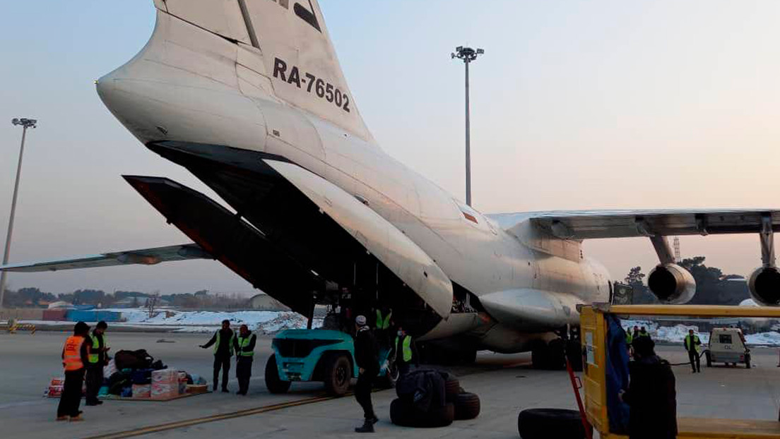 Rescatan a 304 perros y gatos abandonados en Afganistán a bordo de un avión ruso