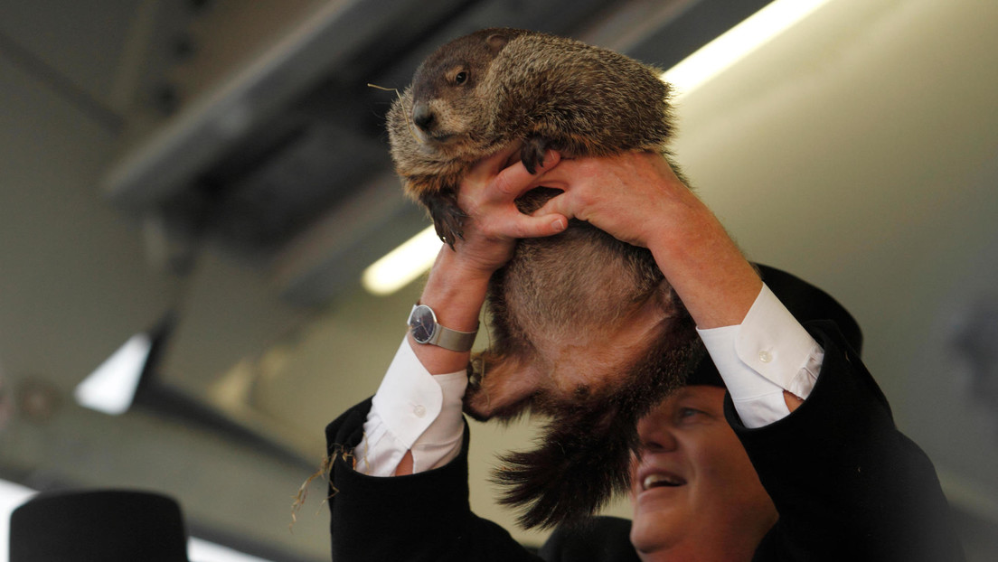 Milltown Mel, la marmota que debía predecir la llegada de la primavera, muere poco antes del festejo en Nueva Jersey