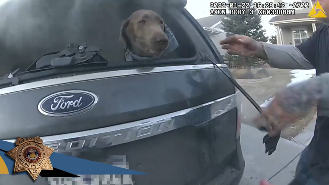 VIDEO: Policía rescata a un perro atrapado en un vehículo en llamas