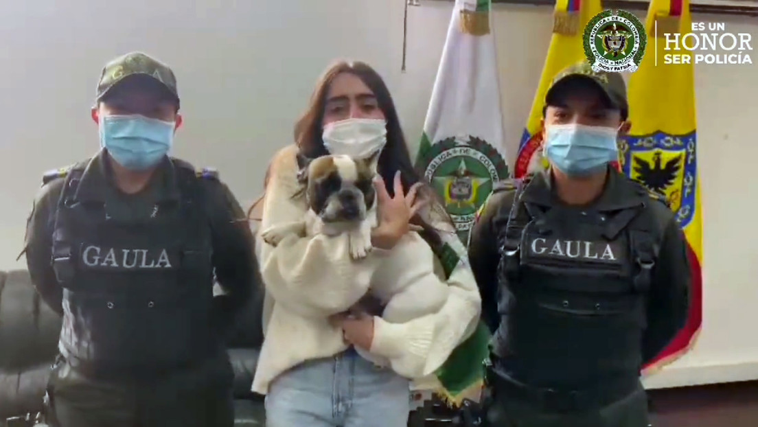 Roban "con pistola" a una perrita en Colombia, exigen una recompensa y horas más tarde es rescatada por la Policía