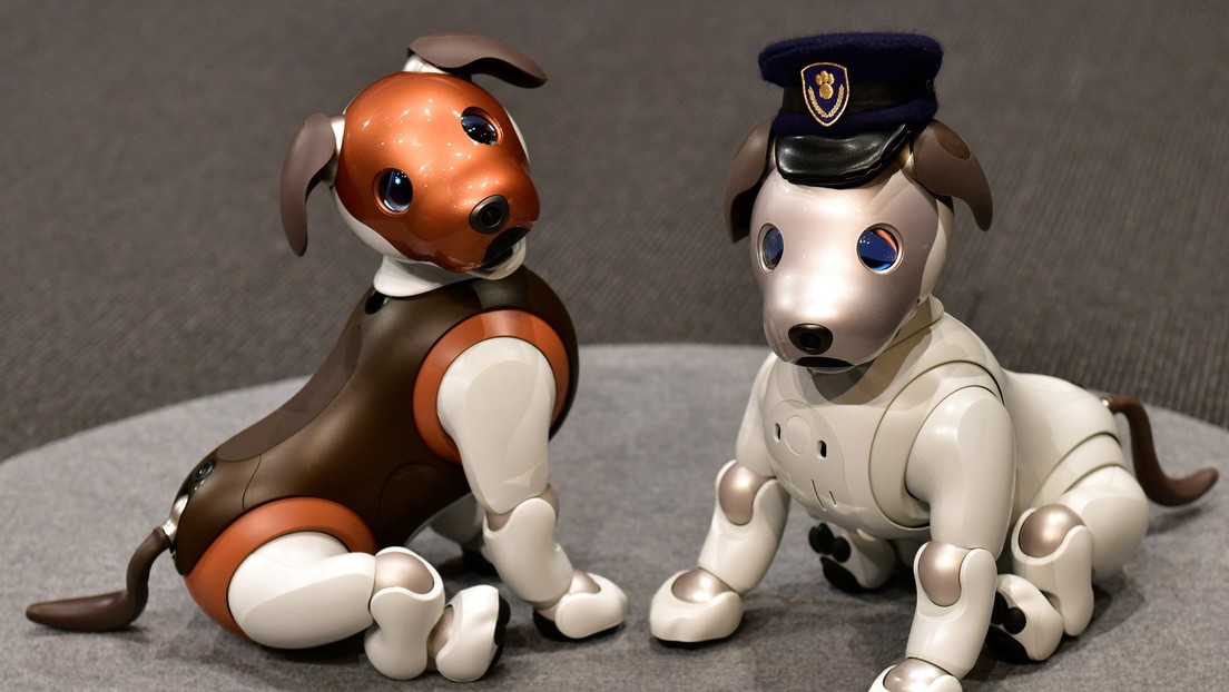 FOTO: Sony lanza un 'portabebés' especialmente diseñado para transportar perros robot Aibo