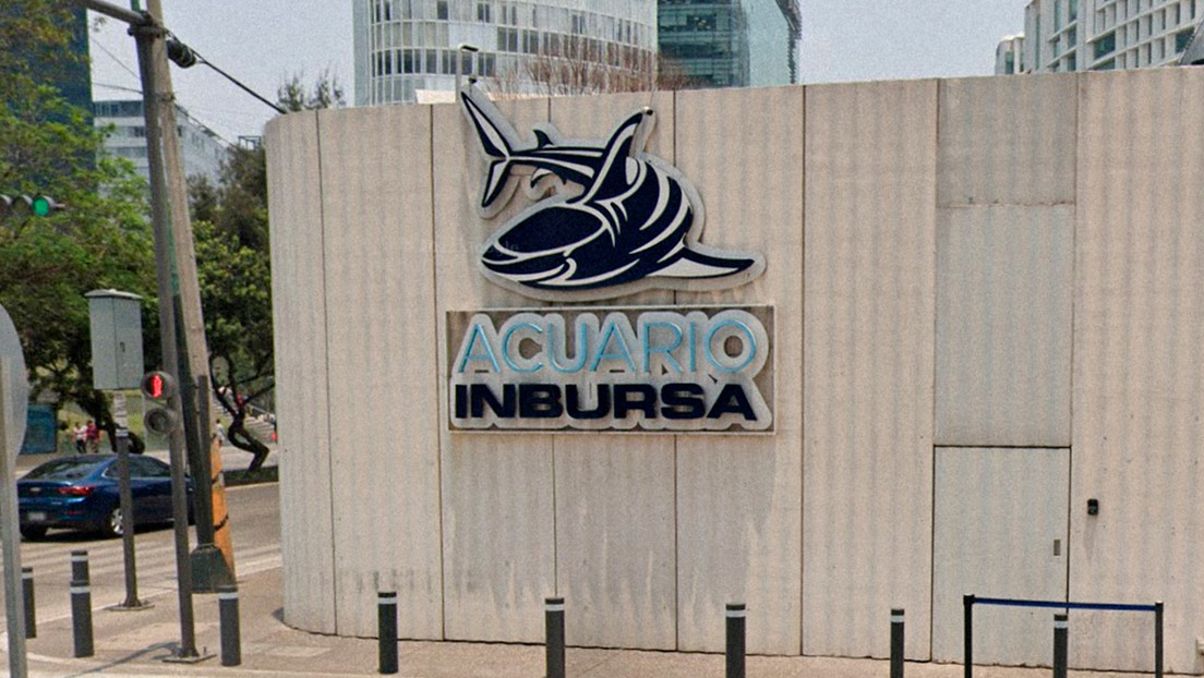 Una bióloga marina de 27 años fallece en un acuario propiedad de Carlos Slim en México y las autoridades investigan lo sucedido