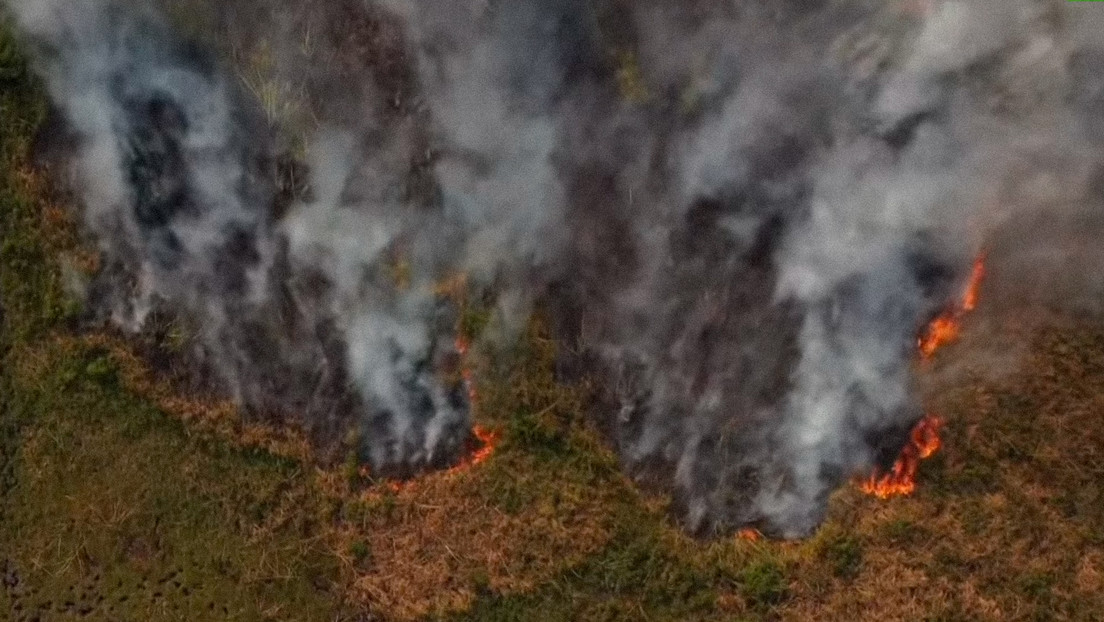 Animales quemados, 600.000 hectáreas destruidas y miles de damnificados: las imágenes que muestran el drama de los incendios forestales en Argentina