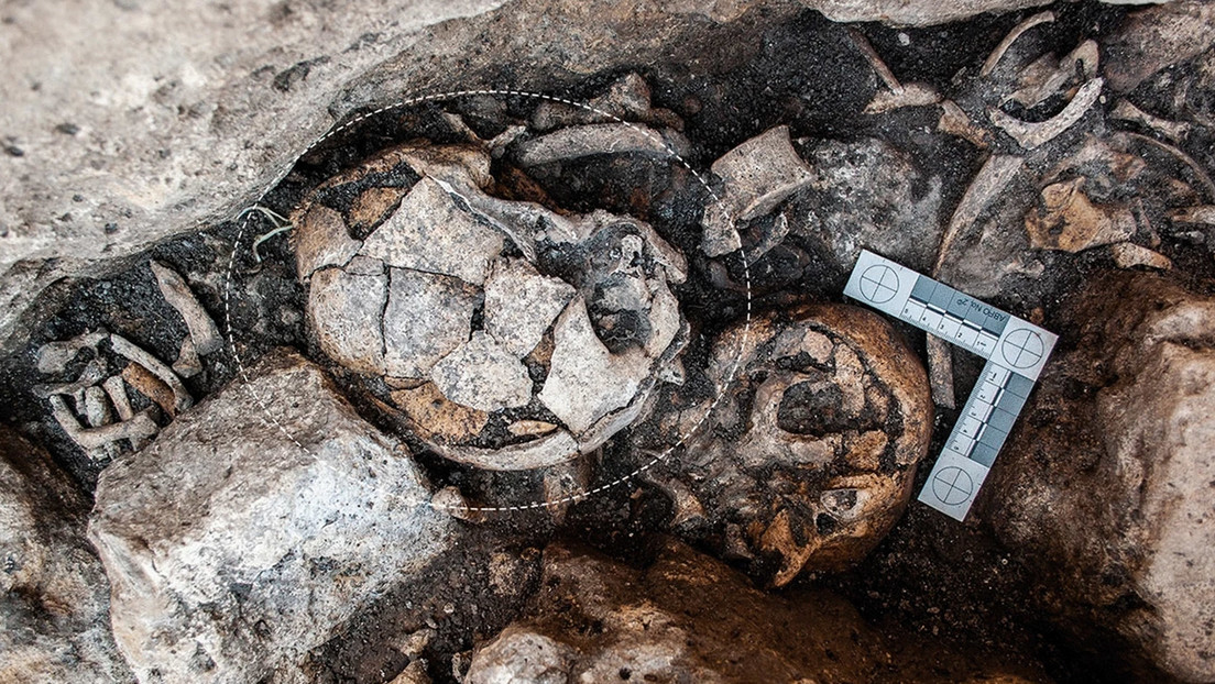 Descubren un cráneo femenino de hace 5.300 años con los primeros indicios conocidos de una cirugía de oído