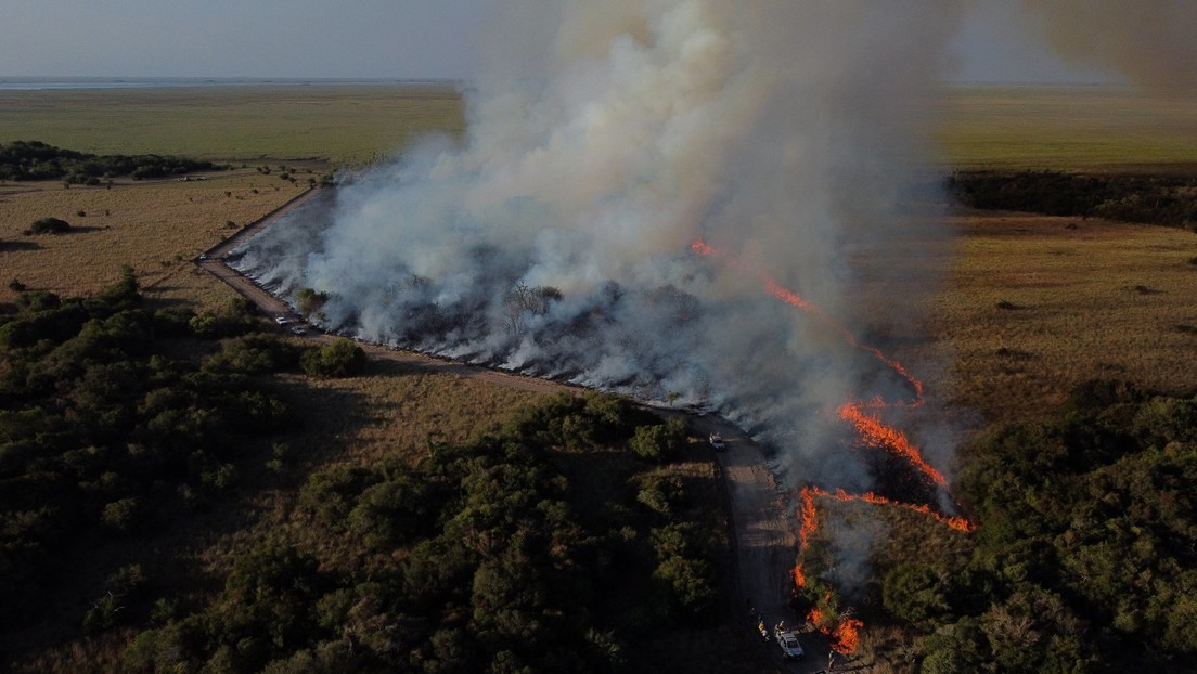 Argentinos se vuelcan a realizar donaciones para los afectados por los incendios en la provincia de Corrientes